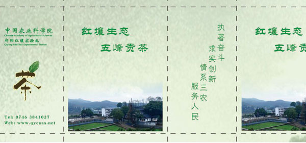 茶叶罐.jpg