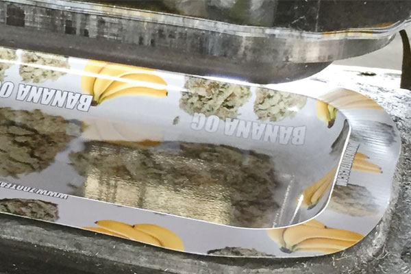 托盘切边.jpg