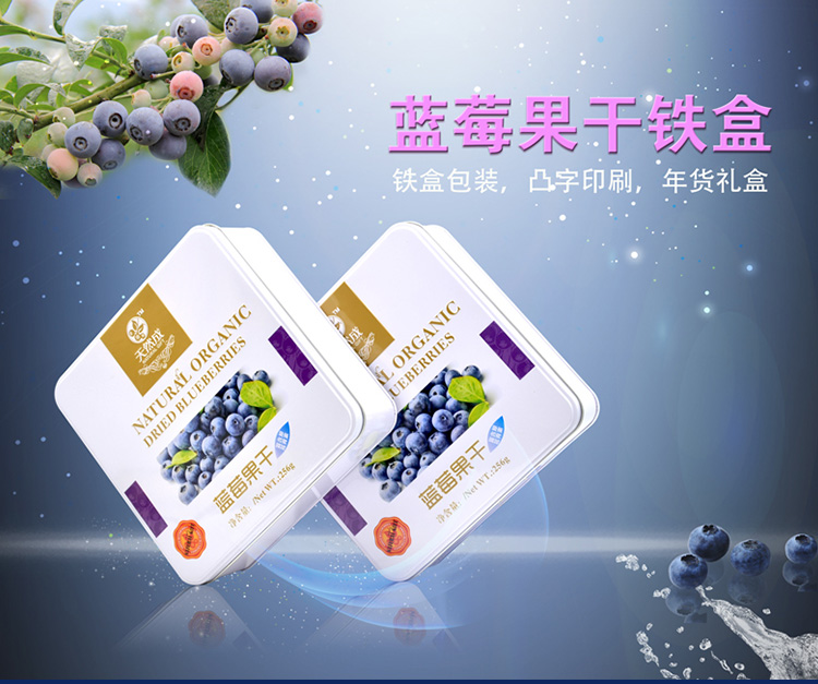 热销蜜饯果干铁盒包装-方形蜜饯铁盒包装定制生产厂_01.jpg