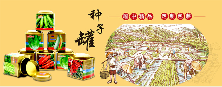 圆顶异型种子罐系列套装铁盒包装_01.jpg