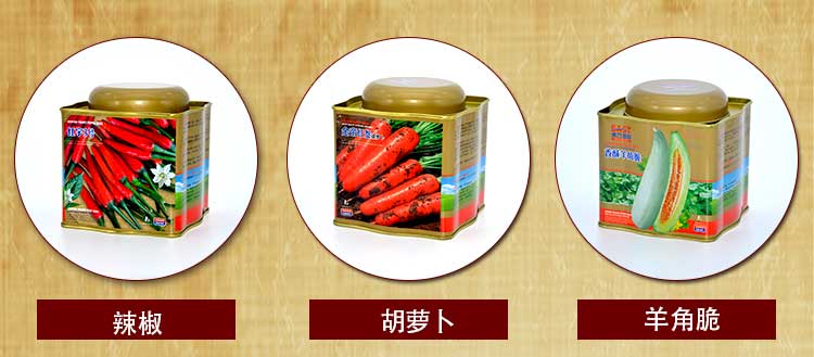 圆顶异型种子罐系列套装铁盒包装_03.jpg