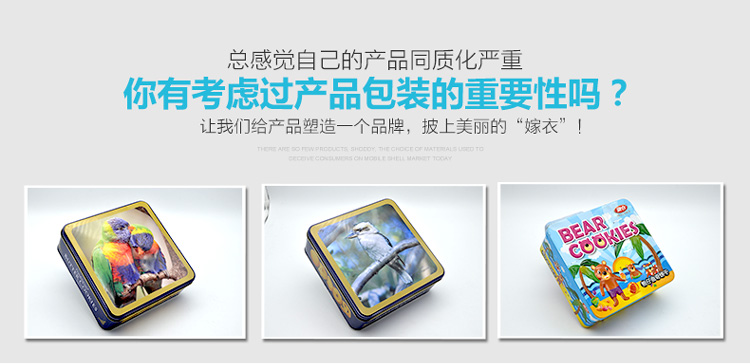 方形饼干铁盒包装_04.jpg