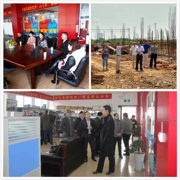 政府领导视察.jpg