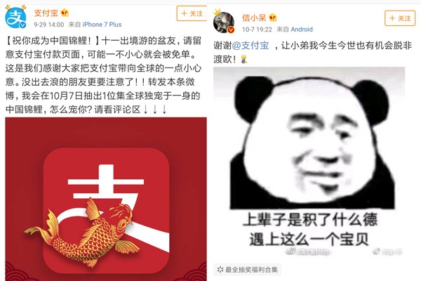 支付宝转发锦鲤活动