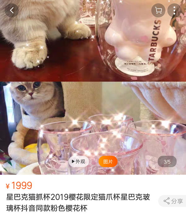 猫爪杯网上售价