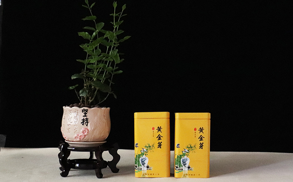 茶叶铁罐